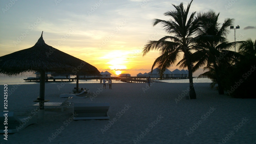 Fototapeta premium sundown