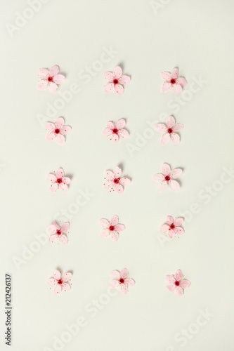 Floral pattern of cherry flowers