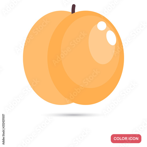 Apricot fruit color flat icon