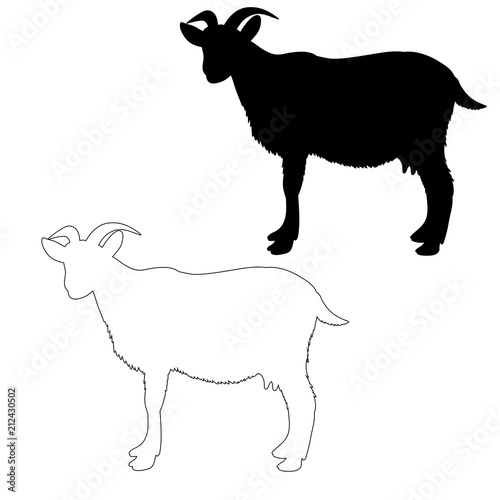 vector, isolated silhouette of goat on white background