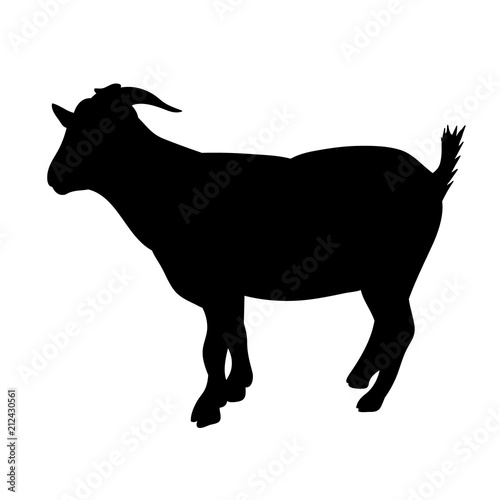 isolated silhouette of goat with horns on white background
