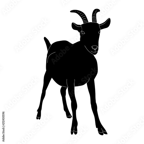 vector, isolated black silhouette goat with horns standing