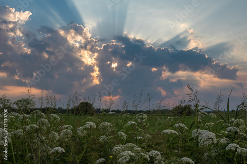 Photography Summer sunset storm landscape. Crepuscular rays