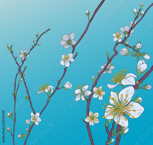 Cherry Peach Blossom Flowers Background Pattern