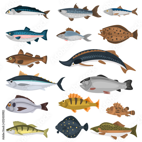 Commercial fish of the world color icons set isolated on white