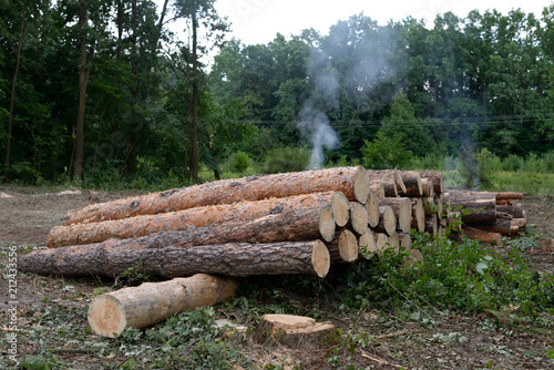 Obraz na płótnie pile of logs w salonie