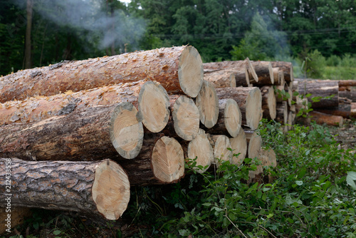 Obraz na płótnie pile of logs w salonie