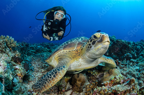 Girl and turtle