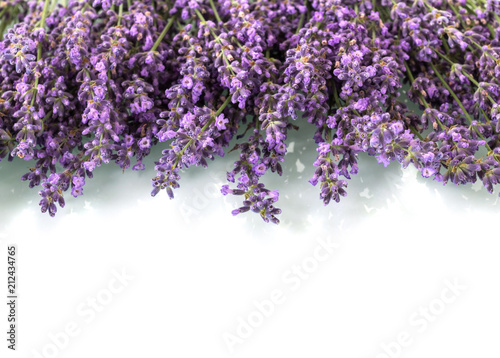 Armful of fragrant lavender flowers isolated on white