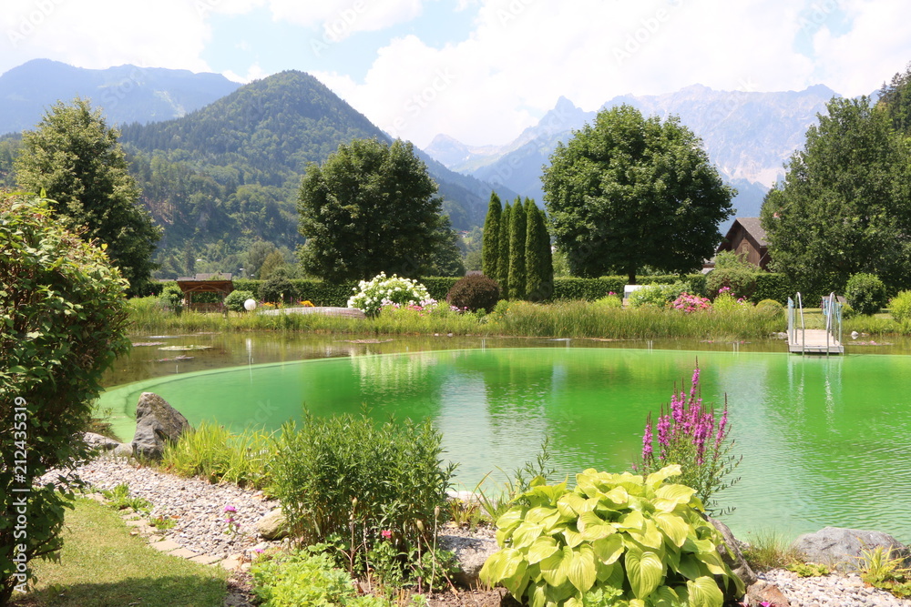 Swimming Pond in a beautiful Garden, Schwimmteich in einer gepflegten