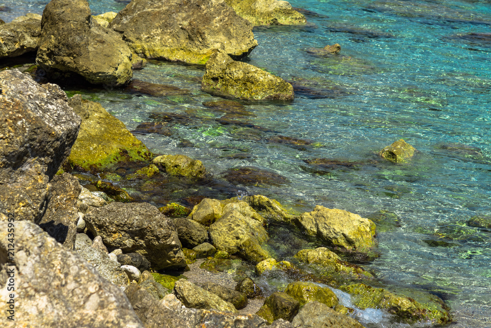 Landscape at the sea