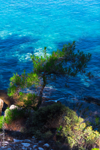 Landscape at the sea