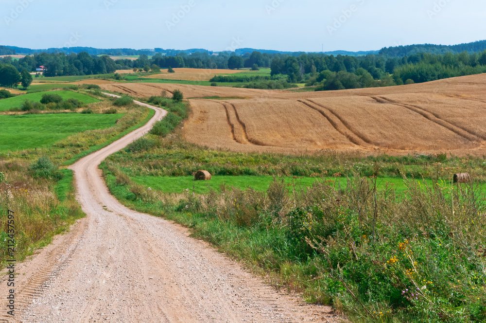 A long road in an arable field. Farmland. A beautiful field road.