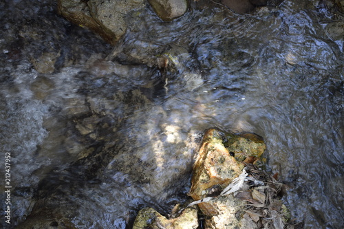 Corrente de água limpa entre as pedras. Água transparente em rio
