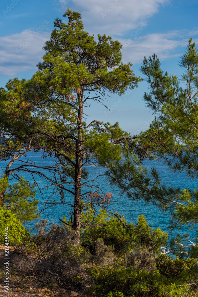 Landscape at the sea in Greece 