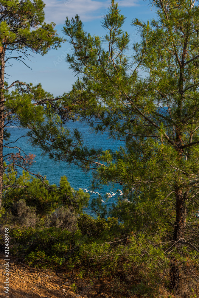 Landscape at the sea in Greece Landscape at the sea in Greece