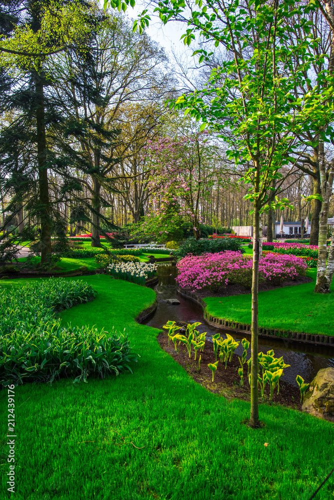 Obraz premium Landscape in Keukenhof park , Holland