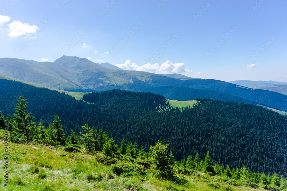 Landscape in the Mountains