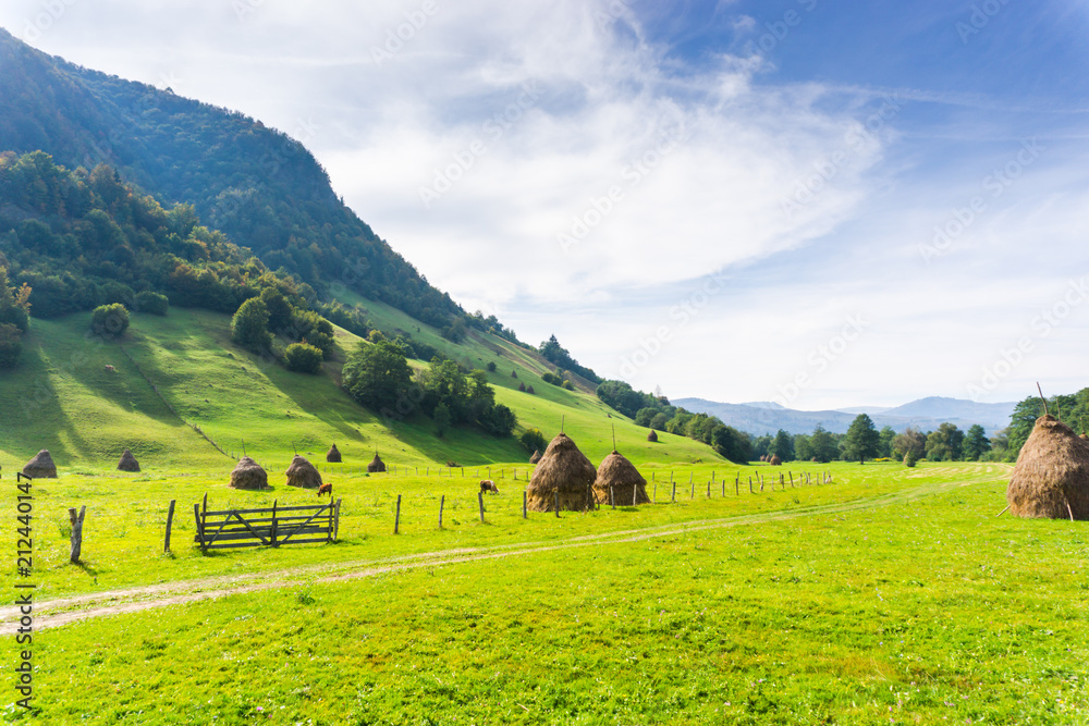 Obraz premium Landscape in the Mountains