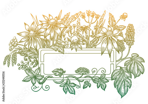 Flower frame. Vector sketch