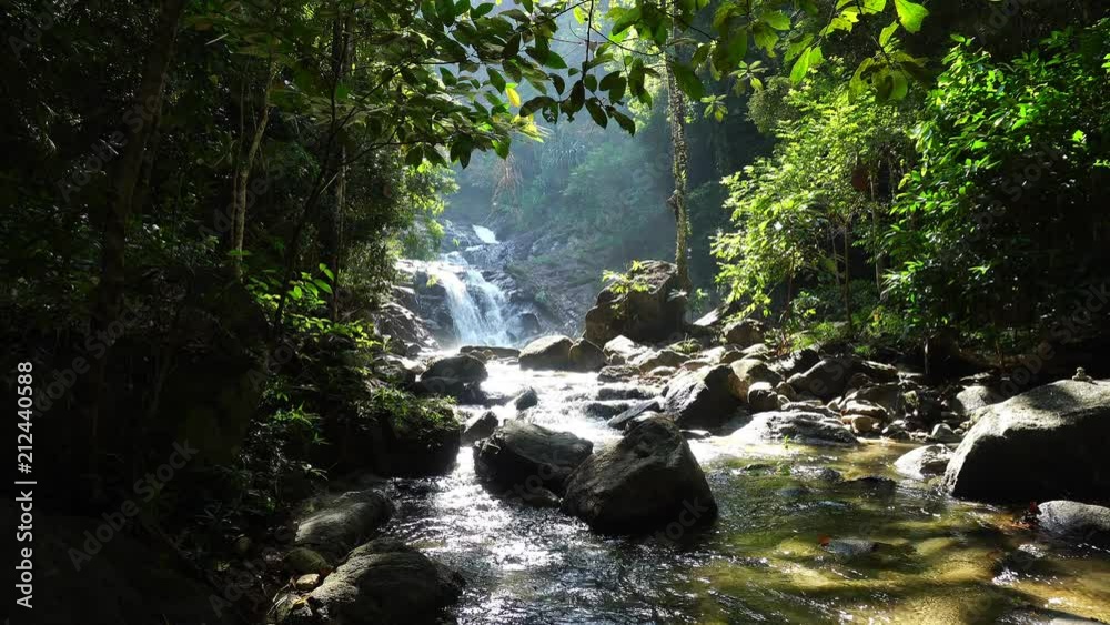 waterfall in the rainforest