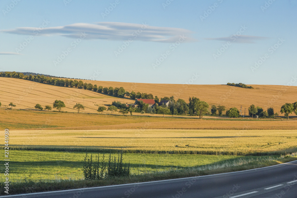 Fototapeta premium Blick RIchtung Mechelgrün im Vogtland