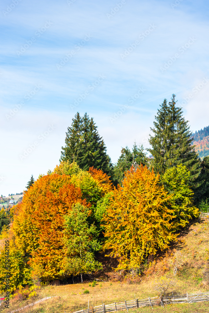 Autumn landscape in Colibita, Romania