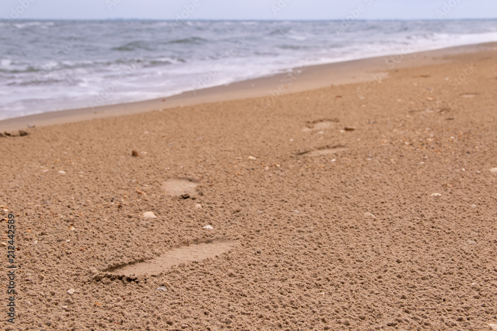 Coast with trails that traverse the sea conceptual image Coast with trails that traverse the sea conceptual image