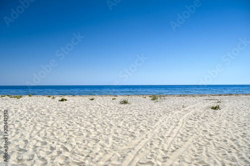 Clean, sandy beach against the blue sea.