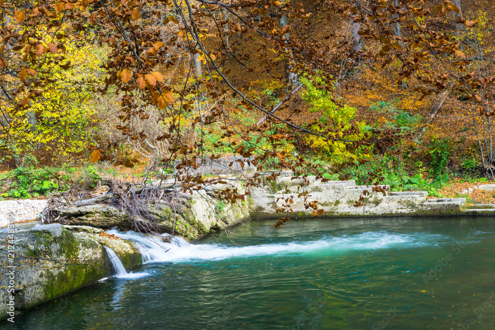 Obraz premium Autumn landscape