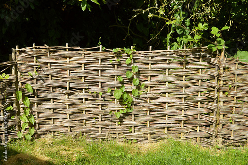 Wattle fence panels photo