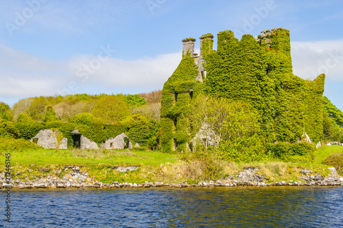 Corrib River, natural vegetation and Menlo Castle photo