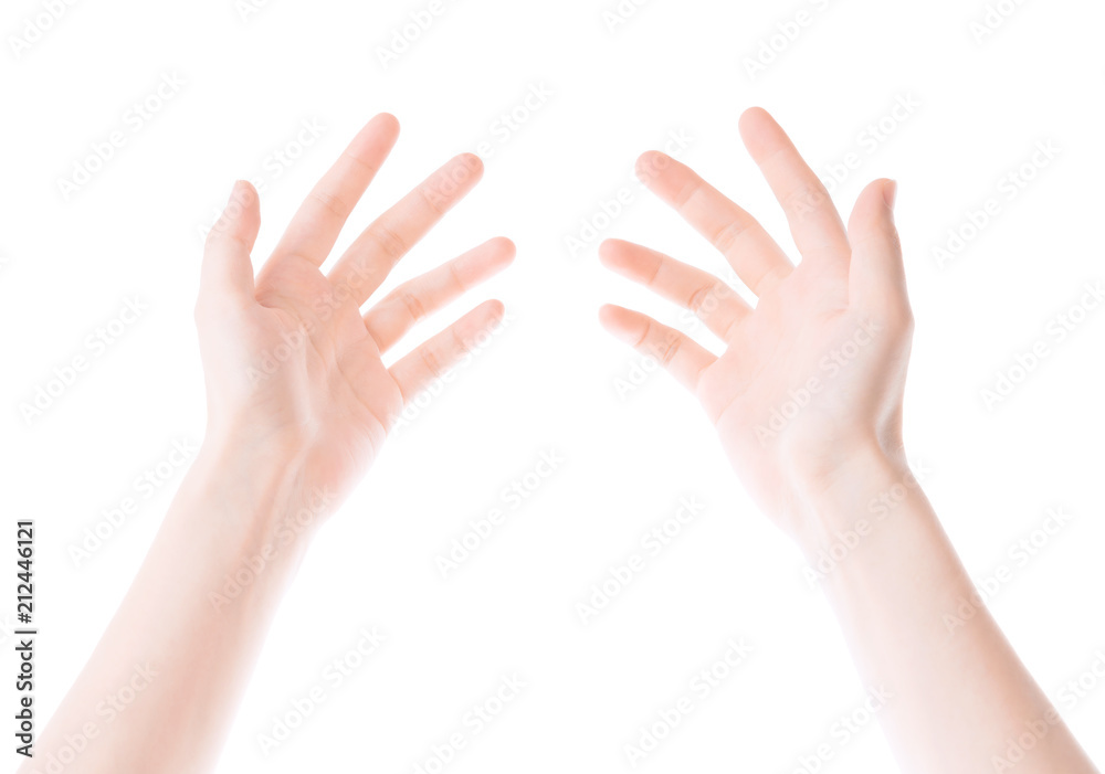 beautiful woman's hand isolated on white background beautiful woman's hand isolated on white background