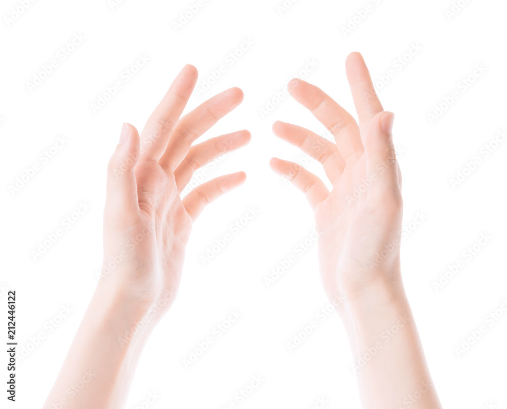 beautiful woman's hand isolated on white background beautiful woman's hand isolated on white background