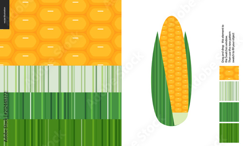 Food patterns, vegetable, flat vector illustration -corn textures, a corncob image and four seamless patterns of corn fresh pulp and striped leaf textures of different tones - from white to dark green