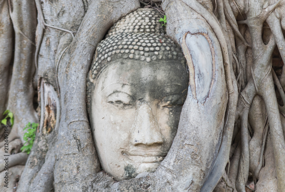 buddha statue