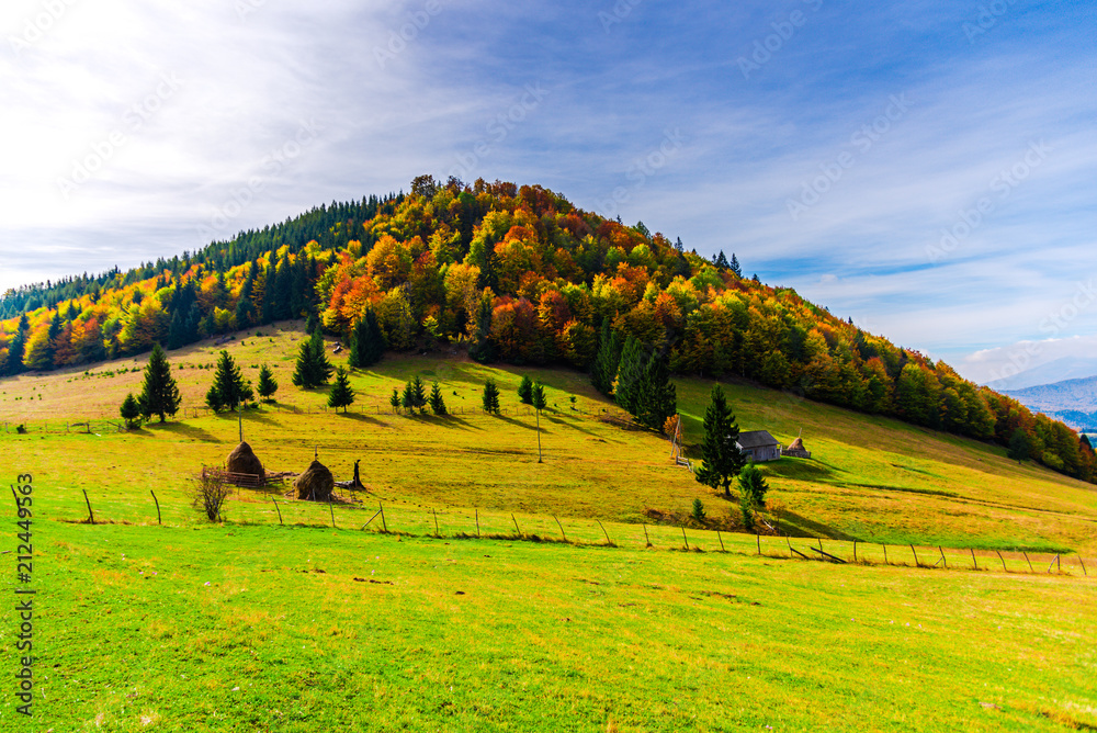 Fototapeta premium Autumn landscape in Carpathia Mountains
