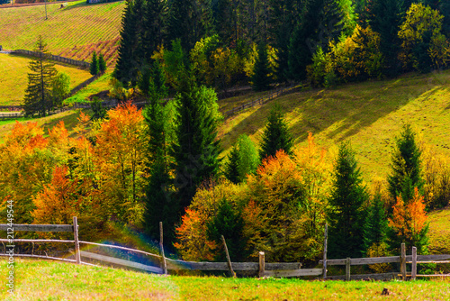 Autumn landscape in Carpathia Mountains