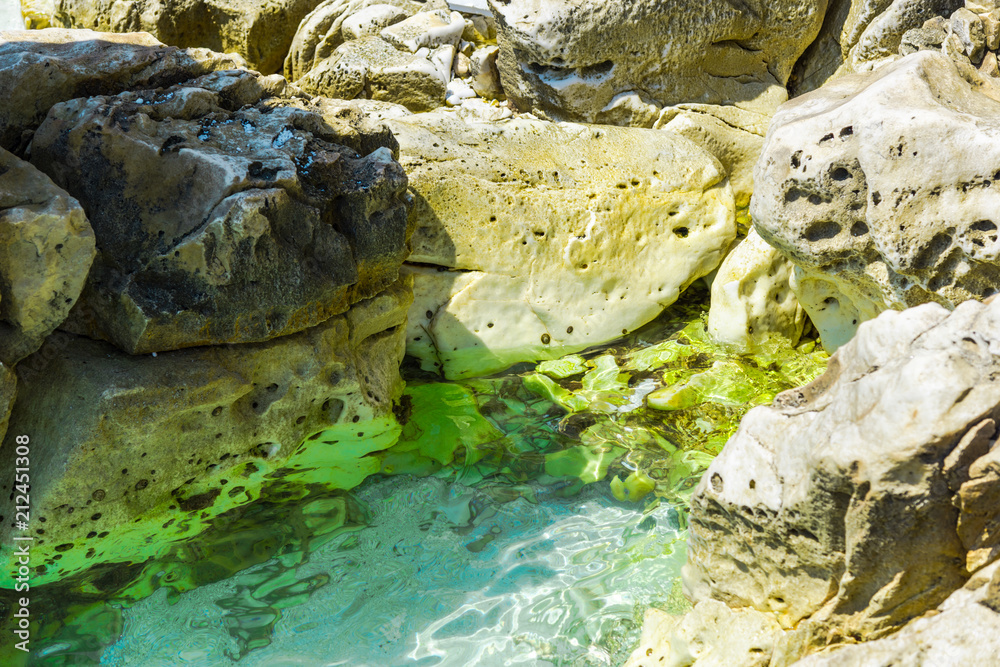 Fototapeta premium landscape at the sea