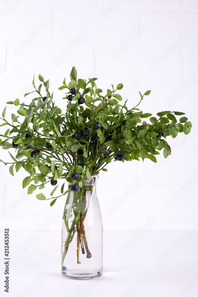 Branch with wild  blueberries and green leaves in a glass of water, on white background.