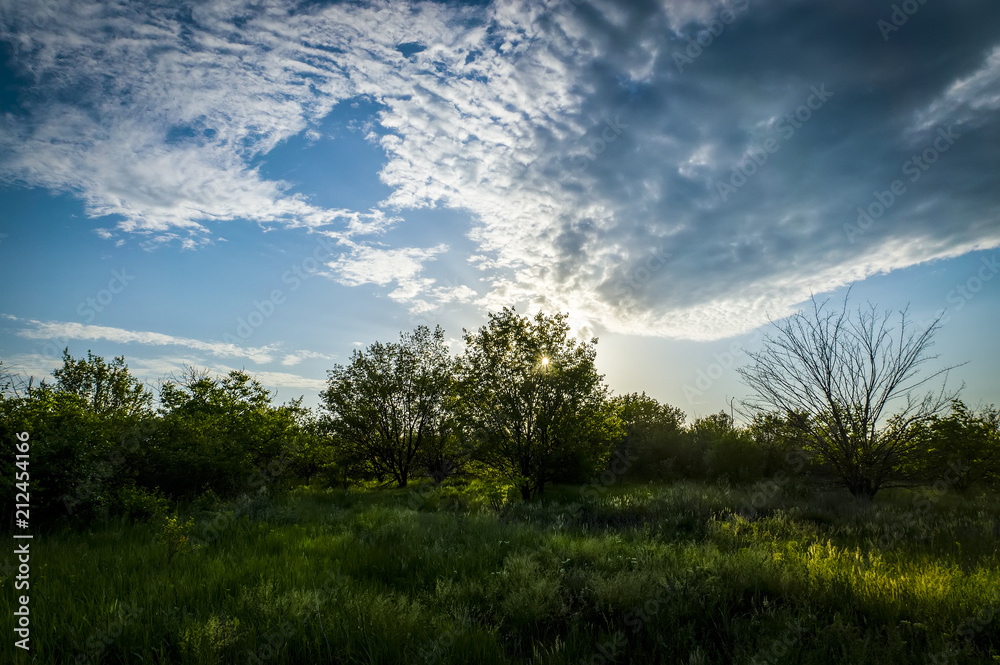 The Ukrainian landscape