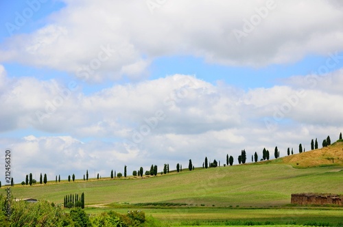 Beautiful landscape of hills, cypress trees and houses in Tuscany, Italy