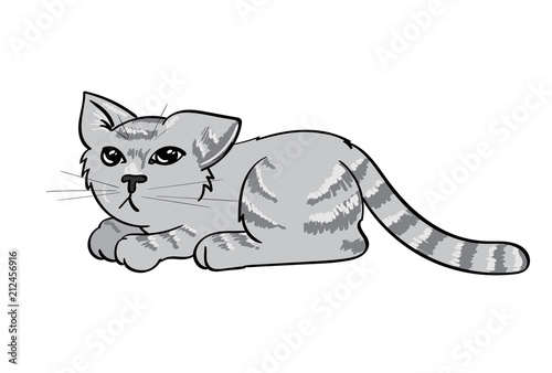Sad Tabby Cat