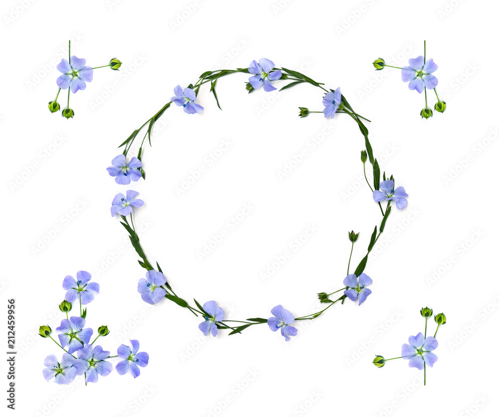 Wreath of flowers and capsules with seed flax ( Linum usitatissimum, common flax or linseed ) on a white background with space for text. Top view, flat lay