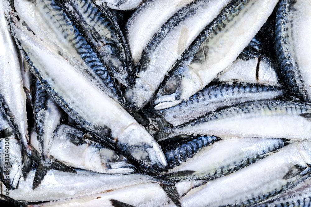 Obraz premium Frozen mackerel. Frozen group of fish. iced atlantic fish. Mackerel. Mackerel pattern. Mackerel texture.