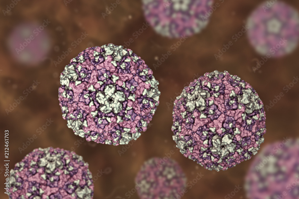Coxsackievirus, 3D illustration. RNA virus from Picornaviridae family