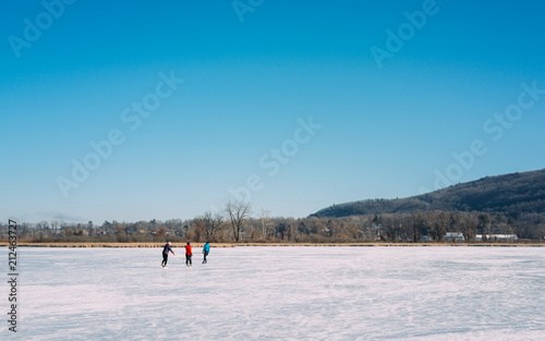 People Skating on a Lake