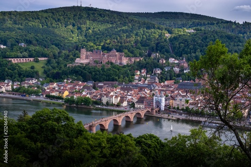 Heidelberger Panorama