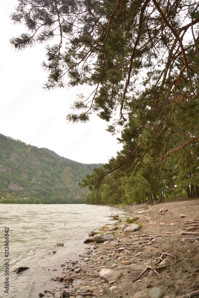 Fototapeta premium nature landscape landscape mountains field grass river water clouds clouds sky trees birch green blue white fresh air oxygen beauty latitude summer season flowers butterfly blo