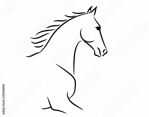 Horse head graphic logo template  vector illustration on white background. Stylish horse head outline for stable  farm  club race design. Running stallion for equestrian sport competition.